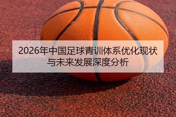 2026年中国足球青训体系优化现状与未来发展深度分析