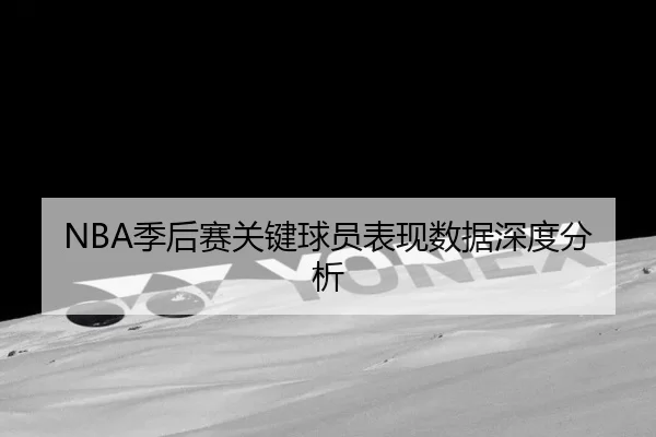 NBA季后赛关键球员表现数据深度分析