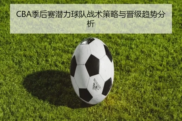 img_1781096731625_228_3_363.jpg